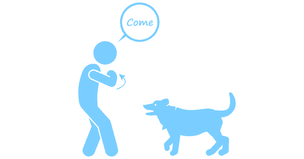 Learn Sign Language with Fido for Deaf Awareness Week