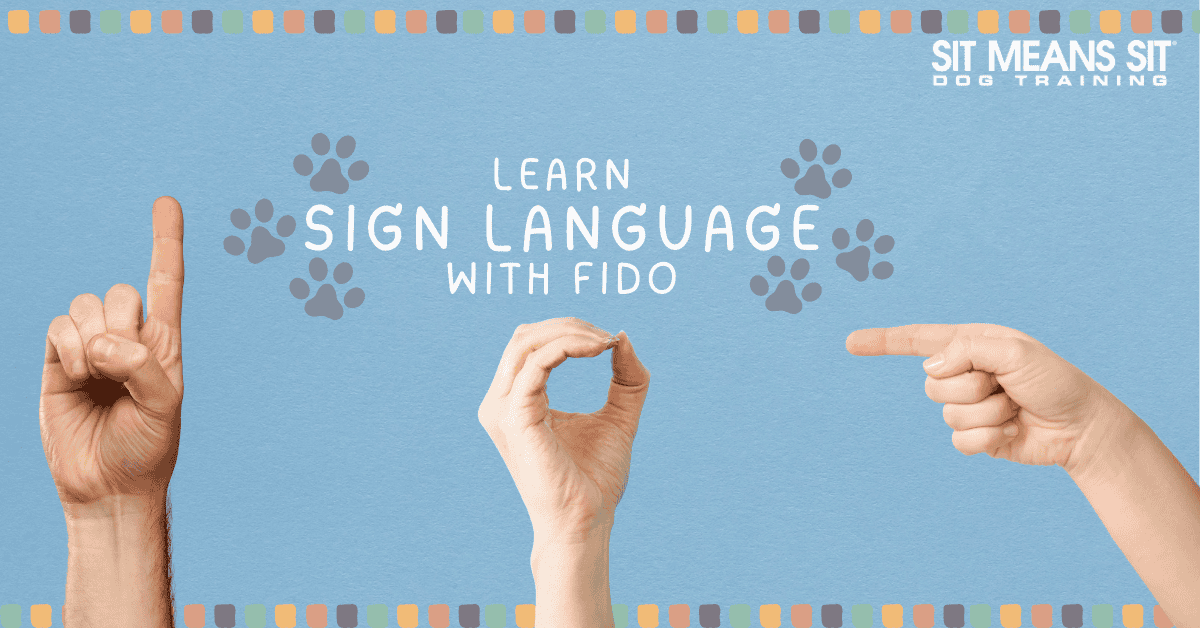 Learn Sign Language with Fido