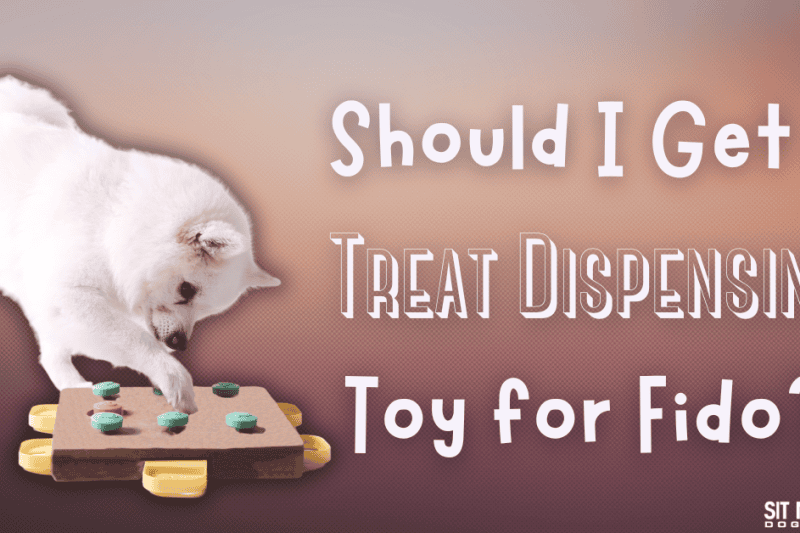 The Benefits of Treat Dispensing Toys