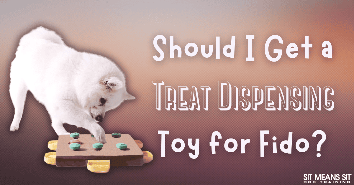 The Benefits of Treat Dispensing Toys