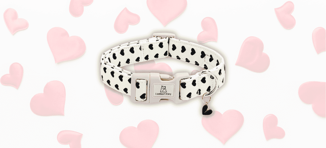 The Cutest Valentine's Day Inspired Dogwear