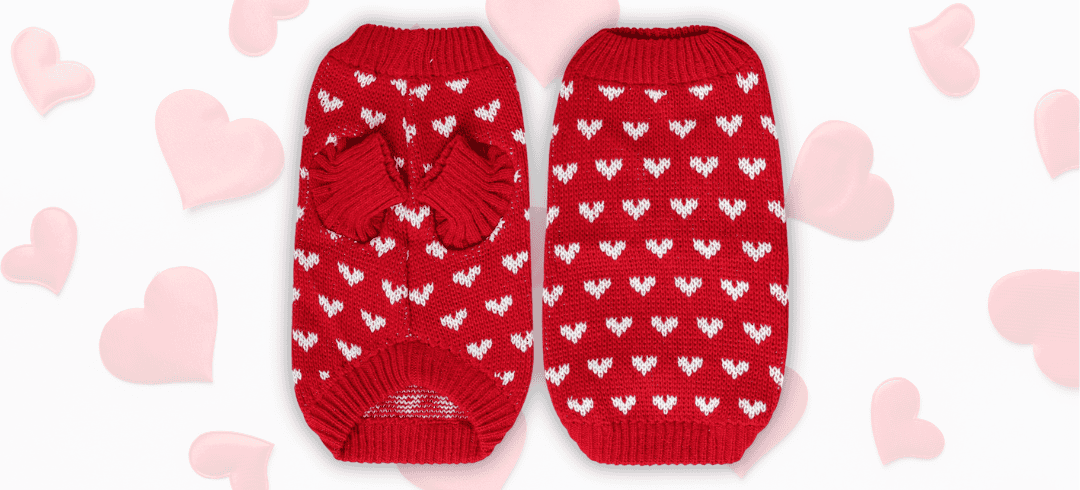 The Cutest Valentine's Day Inspired Dogwear