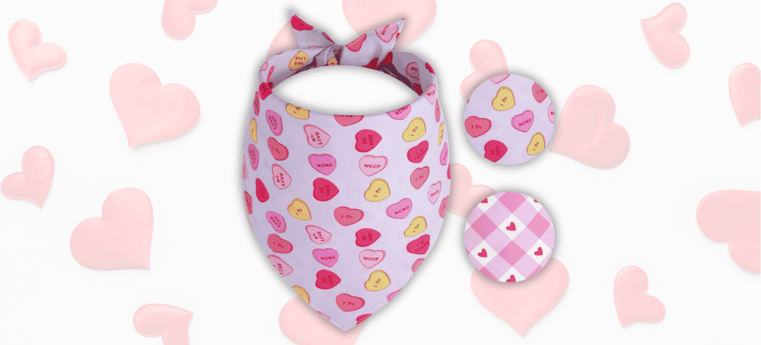 The Cutest Valentine's Day Inspired Dogwear