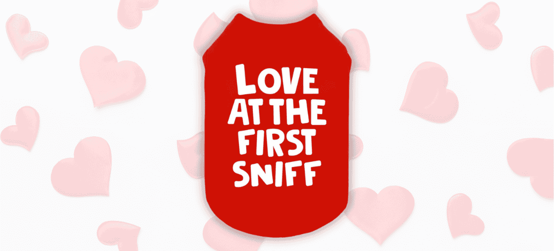 The Cutest Valentine's Day Inspired Dogwear