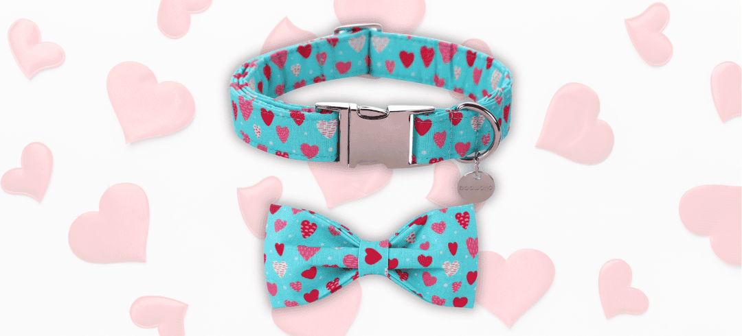 The Cutest Valentine's Day Inspired Dogwear