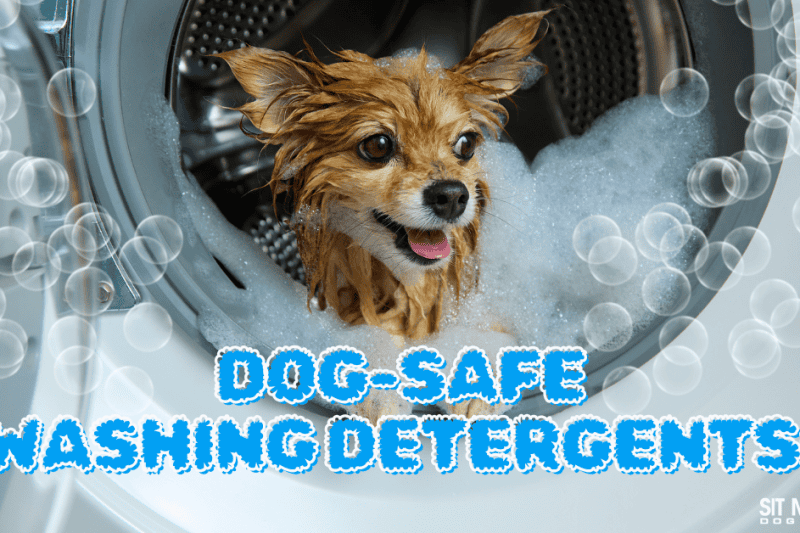 The Ultimate Guide to Dog-Safe Detergents