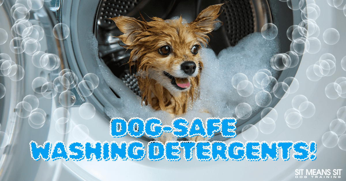 The Ultimate Guide to Dog-Safe Detergents